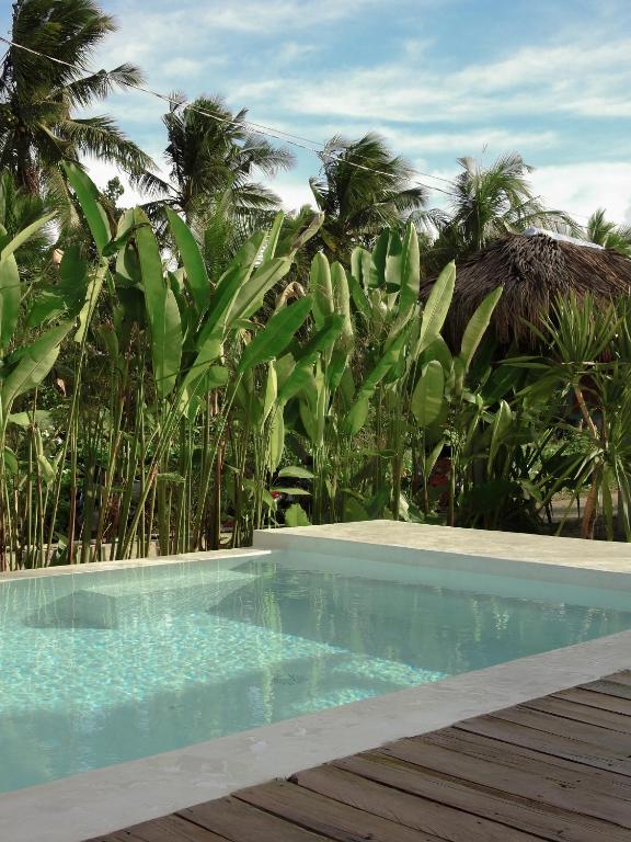 Swimming pool surrounded by banana plants and palm trees